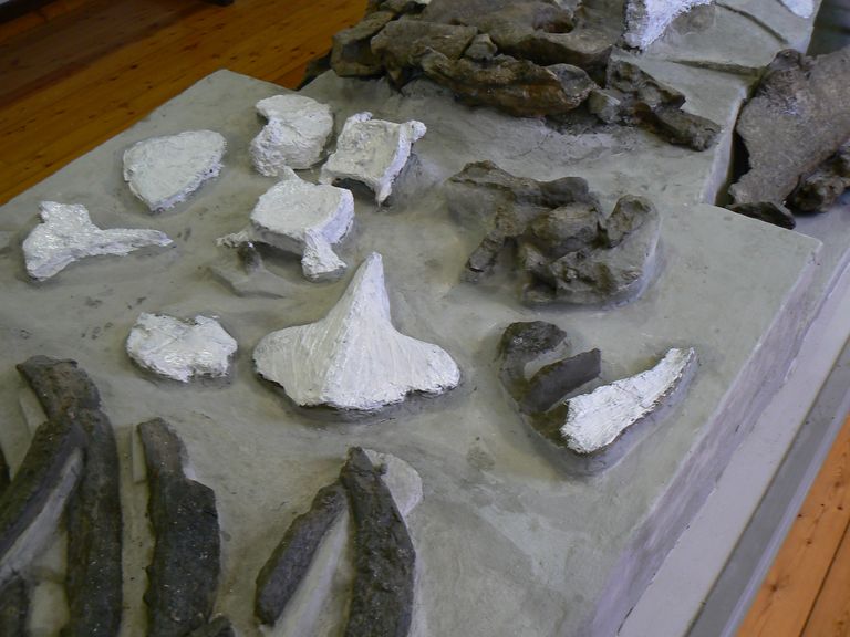 Festa scuola Ale 011